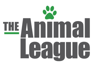 The Animal League
