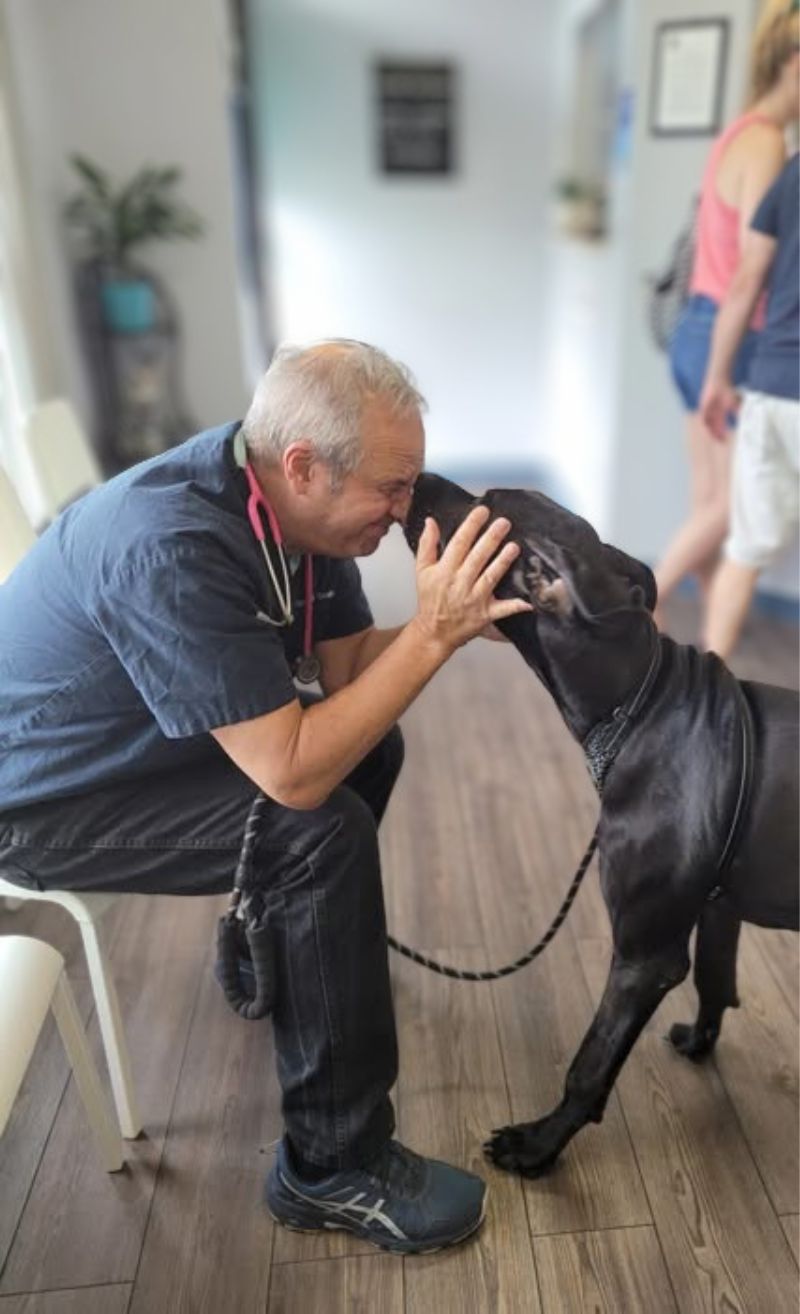 One of our patients, Bosun, a black labrador, stopped by to give Dr Gallo lots of doggy kisses. Dr Gallo cradles Bosun's head as they share the love and attention.